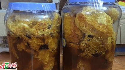 MẬT ONG RỪNG NGUYÊN SÁP TÂY BẮC 4 mat ng sap ong