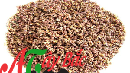 HẠT MẮC KHÉN TÂY BẮC 500 G 8 29a internet yqqx