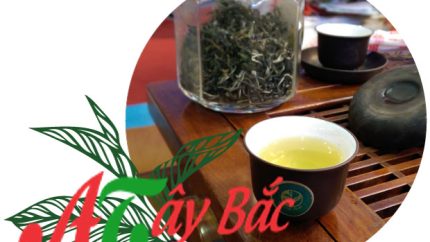CHÈ TÀ XÙA 400G 4 che ta xua bac yen