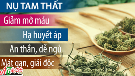 cong dung nu tam that la ha