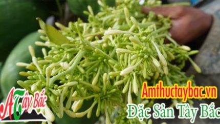 ho du du ngon tai amthuctaybacvn 0x250