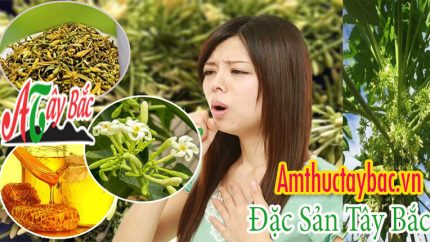 hoa du du duc tri ho hieu qua tai amthuctaybacvn