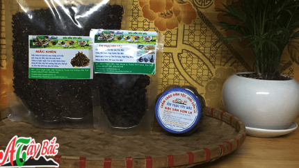 mac khen hat doi rung