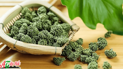 nu hoa tam that thom ngon h 0x250