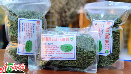 tam that bao tu tai am thuctaybac