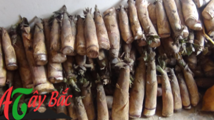 MĂNG VẦU TÂY BẮC 5 mang ngot Son la thom ngon 0x250