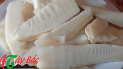 MĂNG VẦU TÂY BẮC 3 mang ngot luoc