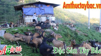 thit den chuan cua ng dan tay bac ngon thu vi