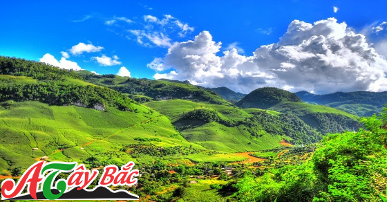 Món ngon gắn liền với núi rừng Tây Bắc