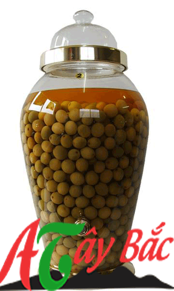 Bình Rượu Táo Mèo Tây Bắc