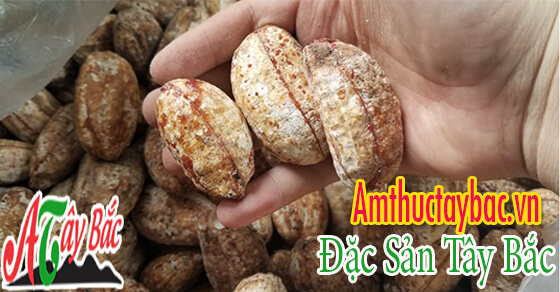 CHUOI HOT RUNG CO TAC DUNG TOT CHO SUC KHOE NGUOI DUNG