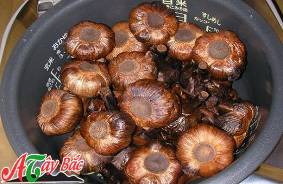 Giữ tỏi trong nồi cơm điện