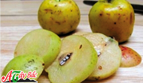 Thái nhỏ quả táo mèo để ngâm rượu