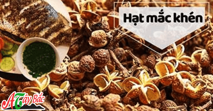 Hạt mắc khen giá vị cho các món ăng hàng ngày của người dân Tây Bắc