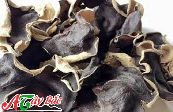 Những tai mộc nhĩ to bản bắt mắt