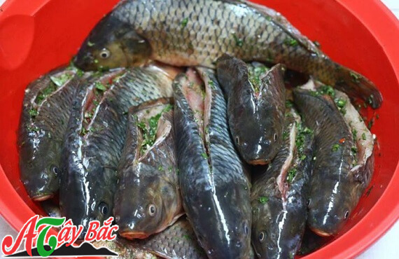 Khía cá sao cho đều tay Khía cá sao cho đều tay