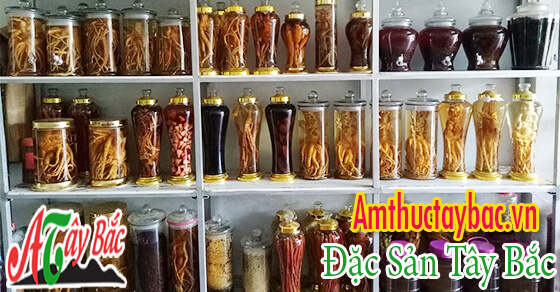 RUOU NGAM CAC DUOC LIEU QUY TAY BAC