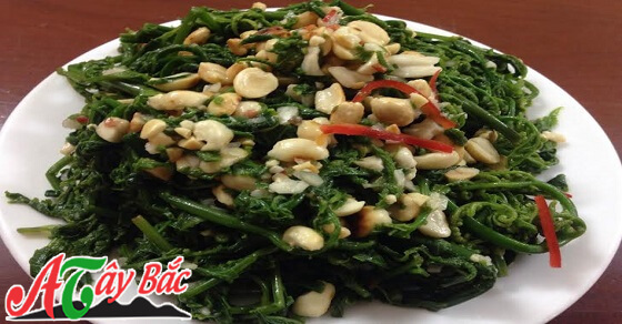 Những đĩa rau dớn tươi ngon hấp dẫn