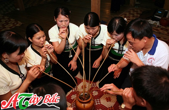 Những bữa liên hoa với chén rượu hang chú