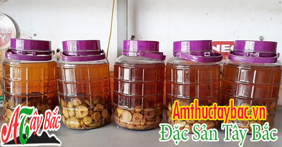 TAO MEO NGAM TRONG BINH THUY TINH