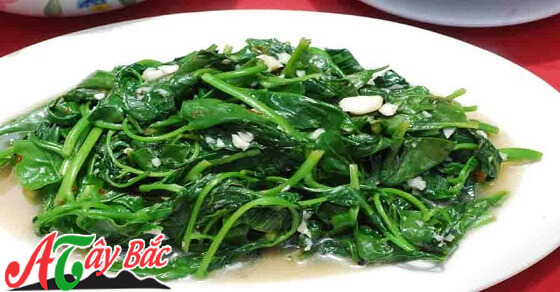 Tầm bóp – loại rau rừng ăn cực chất