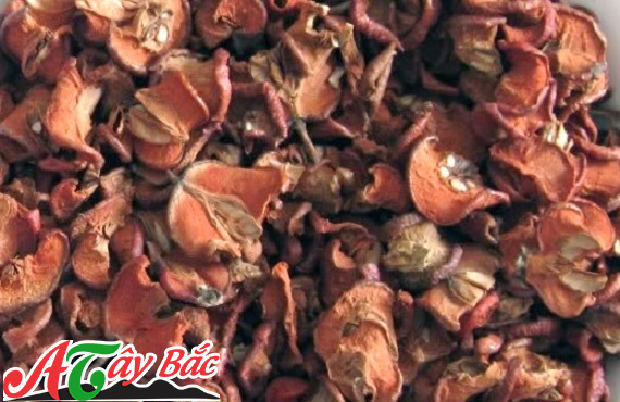 Táo mèo khô, bài thuốc quý Táo mèo khô, bài thuốc quý