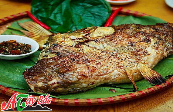Thom ngon dac biet mon ca nuong tam mac khen cua nguoi dan tay bac 1 1