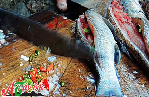 Nên chọn cá còn tươi sống