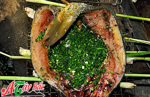 Nướng cá đều tay cho khỏi cháy nha bạn