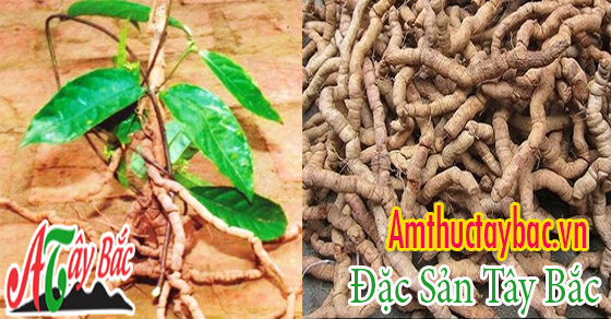 ba kich am thuctaybacvn thom ngon