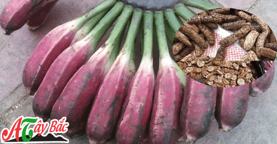 ban chuoi hot rung kho