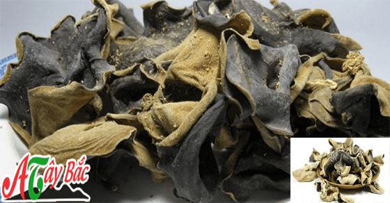 ban moc nhi rung amthuctaybac.vn 2111