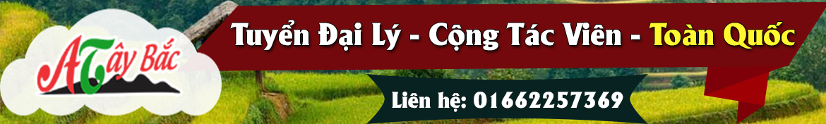 banner tuyenctv amthuctaybacvn