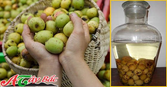 Rượu táo mèo là đặc sản nổi tiếng vì độ ngon, nhẹ, dễ uống