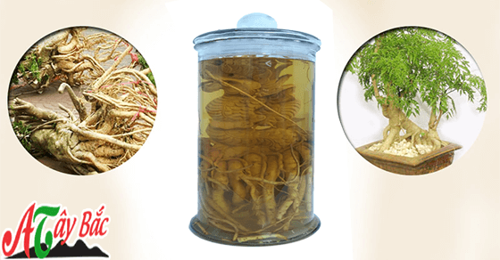 binh ruou dinh lang tot cho sk