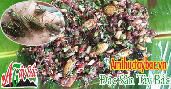 Bọ nước với bàn tay của người Tây Bắc chế biến cực ngon