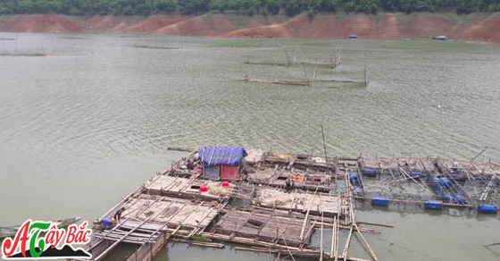 Lồng cá sông đà nơi tạo đặc sản tây bắc