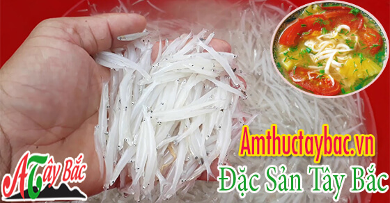 Cá ngần sông Đà đặc sản nổi tiếng khắp các vùng miền