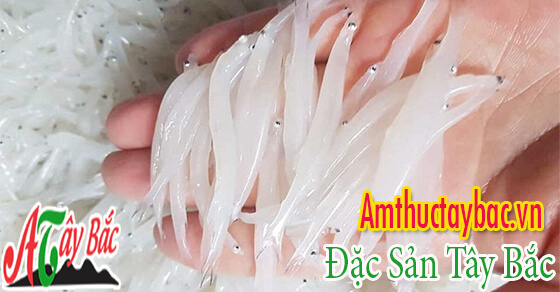 Cá ngần hay còn gọi là cá bún, cá thủy tinh