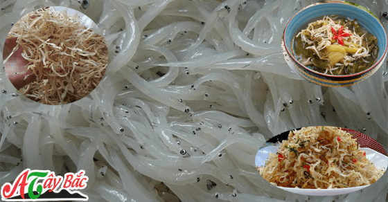 ca ngan song da kho tai HN