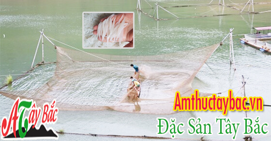 Đánh bắt cá ngần sông đà của người dân Tây Bắc