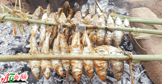 Cá suối nướng món ăn khá lạ với du khách khi đến Tây Bắc