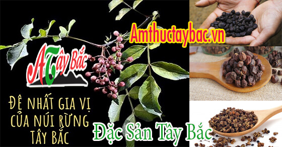 cac loai gia vi tay bac