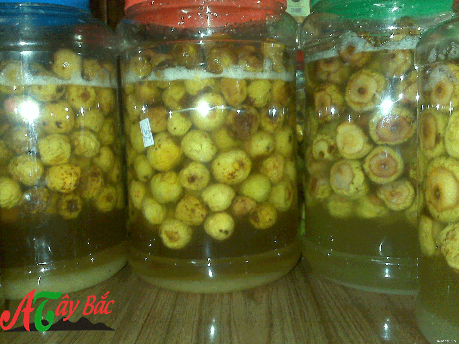 Cách Ngâm Rượu Táo Mèo Tây Bắc