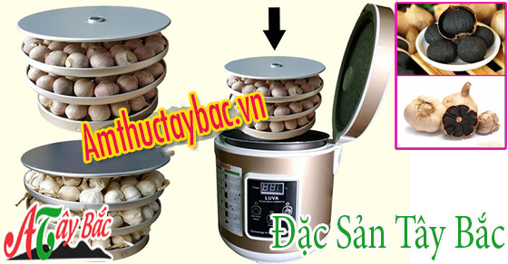 Cách làm tỏi đen từ nồi cơm điện Cách làm tỏi đen từ nồi cơm điện