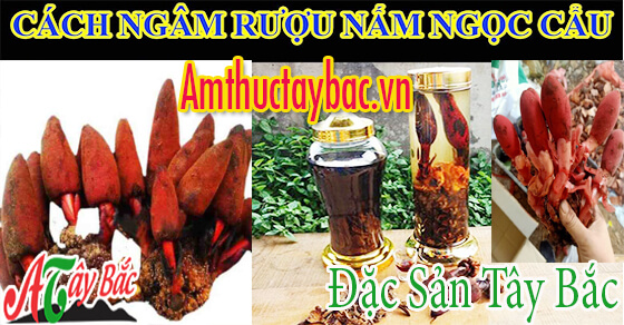  Cách ngâm rượu nấm ngọc cẩu tươi