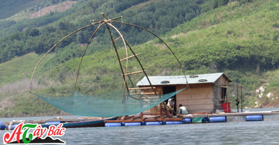 cat vo song da amthuctaybac