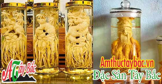 cay dinh lang ngam ruou trong co mui thom