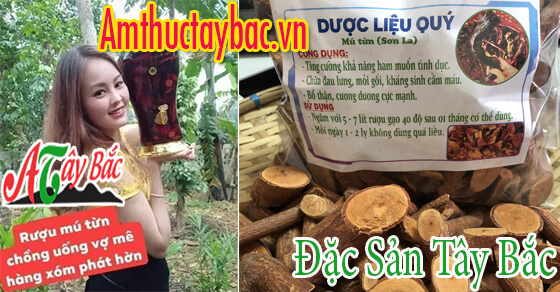 Cây mú từn được cánh mày râu săn lùng ráo riết