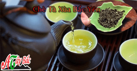 Những búp chè Tà Xùa xanh mơn mởn